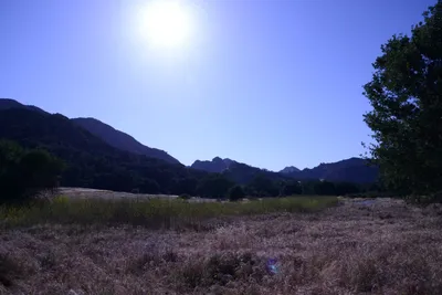 DSC_2070 (Large).JPG